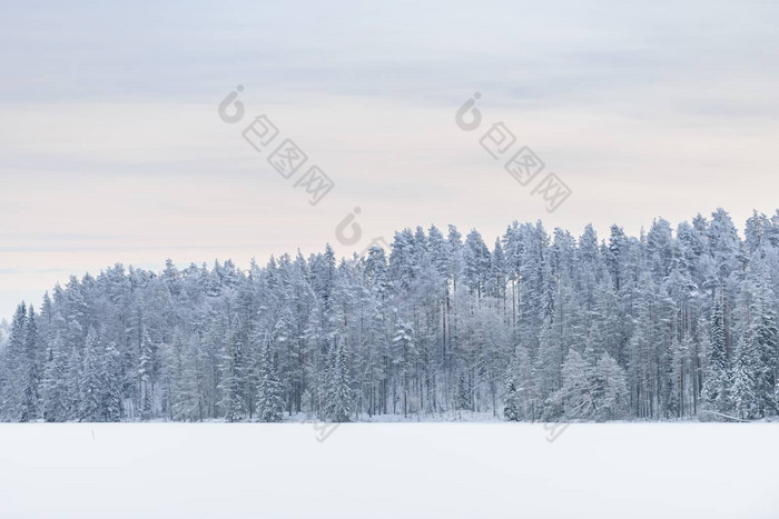 森林冰湖覆盖重雪天空