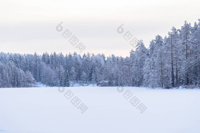 森林冰湖覆盖重雪天空