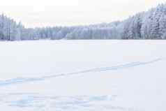 森林冰湖覆盖重雪天空