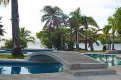 游泳池桥椰子树两个帕尔马斯岛