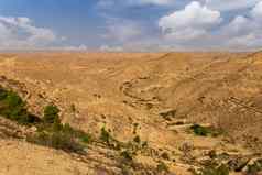 场景石头撒哈拉沙漠沙漠下午