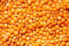 关闭红色的小扁豆种子背景健康的vegeterian食物