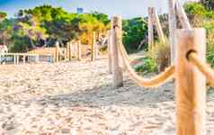 沙子沙丘海滩爱定阿古拉马略卡岛岛西班牙