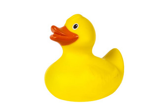 黄色的塑料橡胶鸭减少孤立的