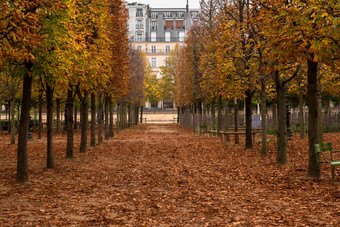 通路Tuileries花园