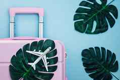 白色飞机模型粉红色的行李棕榈叶子蓝色的背景