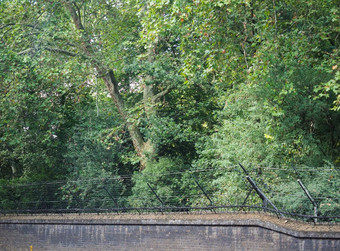 白金汉宫围墙花园伦敦