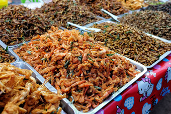 炸昆虫街食物泰国炸昆虫食物