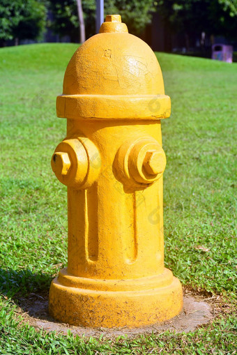 黄色的火消火栓储备公园