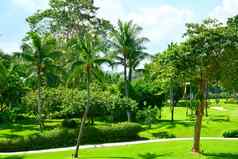 香格里拉的mactan度假胜地水疗中心椰子树拉普拉普