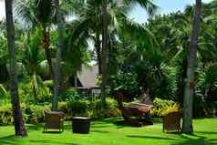 香格里拉的mactan度假胜地水疗中心椰子树拉普拉普