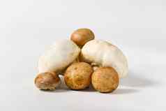 新鲜的食用香草蘑菇宏拍摄特写镜头白色棕色（的）切片食用香草