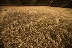 桩堆小麦谷物粮食电梯