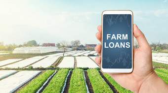 农民持有电话农场贷款背景景观土豆种植园应对危机措施债务重组恢复农业部门补贴金融农民支持