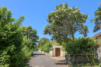 空街道巴厘岛检疫科维德沧巴厘岛受欢迎的旅游区域印尼