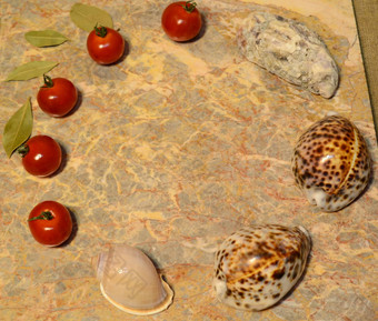 蔬菜贝壳蛋大理石表面樱桃西红柿湾叶子牡蛎贝壳鸡蛋