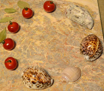 演讲表面蔬菜贝壳蛋大理石表面樱桃西红柿湾叶子牡蛎贝壳鸡蛋