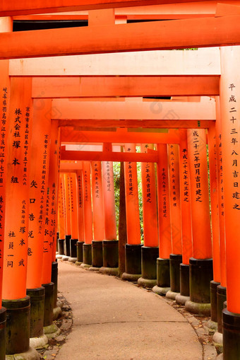 伏见inari大社日本门鸟居《京都议定书》日本