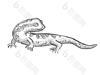 陶图库壁虎新西兰野生动物卡通复古的画