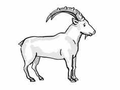 努比亚人的羱羊濒临灭绝的野生动物卡通画