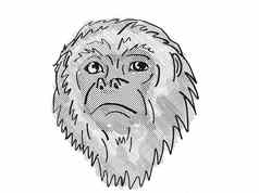 尤卡坦半岛黑色的吼猴子卡通复古的画