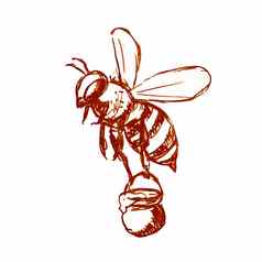 蜂蜜蜜蜂携带桶蜂蜜画黑色的白色