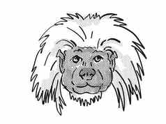 cottontop绢毛猴濒临灭绝的野生动物卡通复古的画