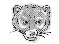 马来半岛的麝猫viverratangalunga濒临灭绝的野生动物卡通复古的画
