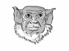 皮耶德绢毛猴濒临灭绝的野生动物卡通复古的画