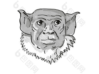 皮耶德绢<strong>毛</strong>猴濒临灭绝的野生动物卡通复古的画