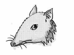 长嘴袋狸濒临灭绝的野生动物卡通复古的画
