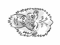 东部大猩猩大猩猩贝伦盖濒临灭绝的野生动物卡通单行画