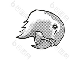 Blue-throated金刚鹦鹉瓦格勒的金刚鹦鹉濒临灭绝的野生动物卡通单行画