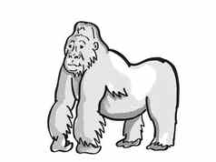 山银回来大猩猩濒临灭绝的野生动物卡通单行画