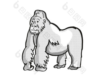 山银回来<strong>大猩猩</strong>濒临灭绝的野生动物卡通单行画