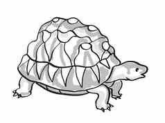 辐射乌龟濒临灭绝的野生动物卡通单行画