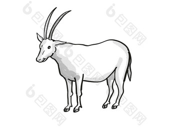 弯刀大羚羊scimitar-horned大羚羊濒临灭绝的野生动物卡通单行画