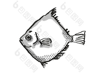乐观深海boarfish澳大利亚鱼卡通复古的画