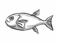 布朗巴克蟾鱼澳大利亚鱼卡通复古的画