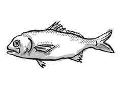 busakhin的须鳂澳大利亚鱼卡通复古的画