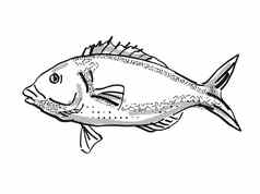 塔拉基希新西兰鱼卡通复古的画