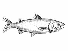 新西兰王大马哈鱼鱼卡通复古的画