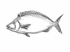 波莱新西兰鱼卡通复古的画