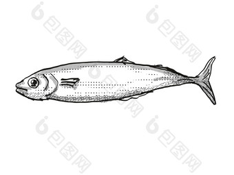 科赫鲁新西兰鱼卡通复古的画