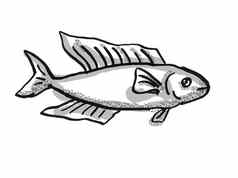 鲳新西兰鱼卡通复古的画