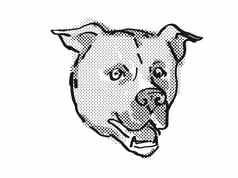 美国斯塔福德郡梗狗品种卡通复古的画