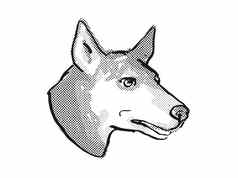 澳大利亚水鬼狗品种卡通复古的画