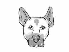 比利时马利努瓦狗品种卡通复古的画