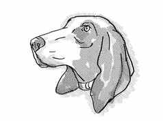 bracco意大利狗品种卡通复古的画
