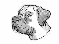 布尔布尔狗品种卡通复古的画
